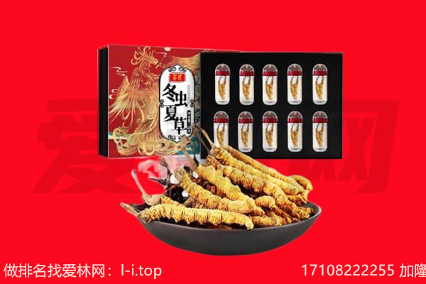 合江县回收虫草.jpg